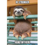 Baby sloths <3