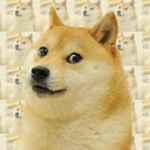 Doge_SoilderYT's Group