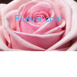 Flower con♡