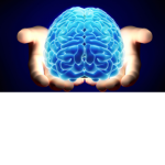 ME BIG BRAIN GAMES