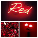 RubyredRoses