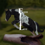 EquiLife