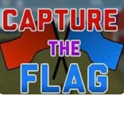 capture the flag (beta)