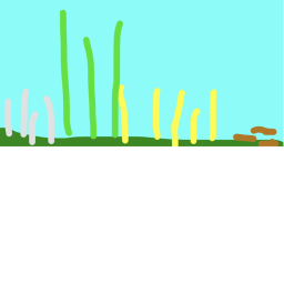 Farm Life
