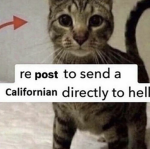 [SCP Roleplayers]