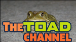 TOAD STUDIOS!!1!