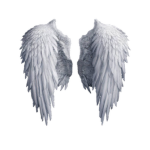 The Angel's babies