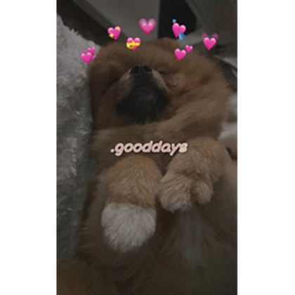 .gooddays Roblox group icon