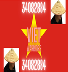 The Viet Warriors