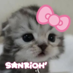 sanrioh'