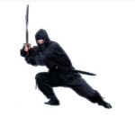 the actual legends of the ninja