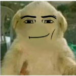 SI LE SANEMOS