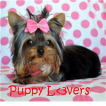 ♥Puppy Lovers♥