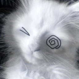 /ᐠ - ˕ -マ icon