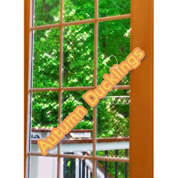 Autumn Ducklings Street [NEW OBBY FEATURE] [MORE C