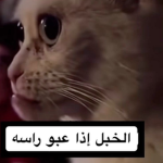 Queen_Farah