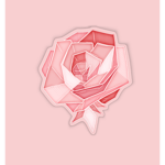 Rose's Aesthetic Community