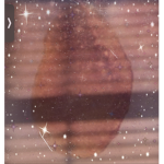 ~ C O L L A ~