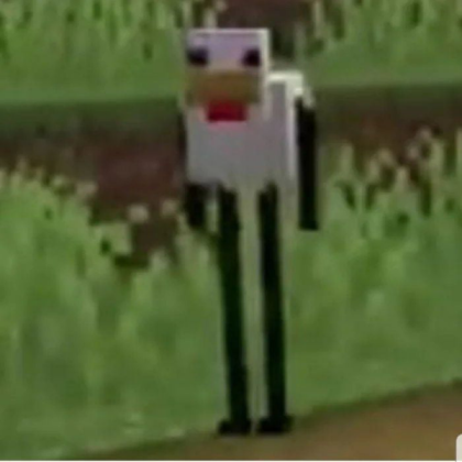 Cursed-Minecraft-chicken-meme Roblox decal