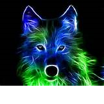 Scenefox Official Fan Group
