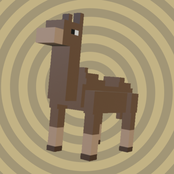 Ride A Camel 50,000 Studs Across the Desert