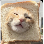 Bread cats #