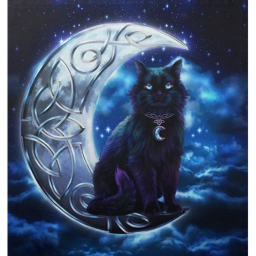 Witch Talk✝☯