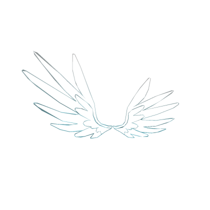 wings
