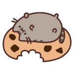 Cookie Biscottosi