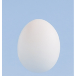 EGS Group ee