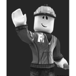 The fortnite noob