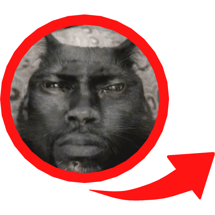 Kevin Hart Cat Meme Red Circle