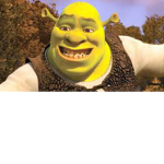 SHREk AND KERMIT GROUP