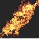 The flame fam