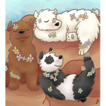 Bear Co