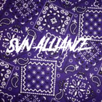 Skipville Nation Alliance