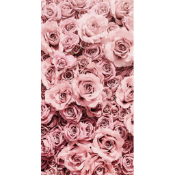 💐