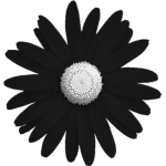 Fiore