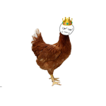 The chickens are the best squad!