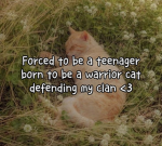 | Fifi's Darling Warriors <3 |