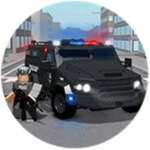 Emergency response: Liberty County SWAT