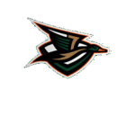 OFFICIAL TEAM QUACK