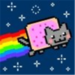 the nyan cat army N.C.A