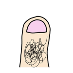 • The Hairy Toes •
