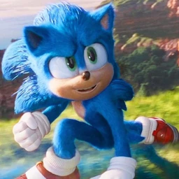 Guess The Sonic Characters icon