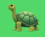 PROTECT ALL TURTLES (P.A.T.)