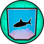 First Fish in Aquarium