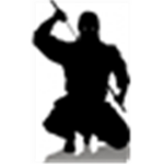 Ninjas Elementares