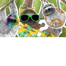 Capture the sloth