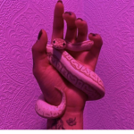 $upporters <3
